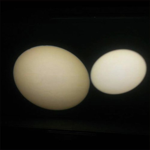 LED 麵光成（chéng）像燈